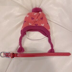 Toy breed- hat & NEW collar that fits 8-10 in, hat w/ ear holes & elastic strap
